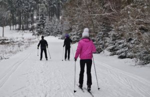 rent or buy cross country skis